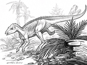 Scutellosaurus / © Luc J. Bailly. Verwendet mit freundlicher Genehmigung des Autors.