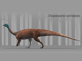 Sefapanosaurus / Chris Masnaghetti. Creative Commons NonCommercial-NoDerivs 3.0 Unported (CC BY-NC-ND 3.0)