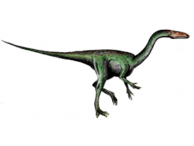 Segisaurus / © N. Tamura. Verwendet mit freundlicher Genehmigung des Autors Segisaurus / © N. Tamura. Verwendet mit freundlicher Genehmigung des Autors