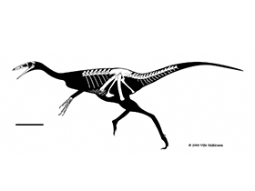 Shenzhousaurus / © Ville Sinkkonen. Verwendet mit freundlicher Genehmigung des Autors Shenzhousaurus / © Ville Sinkkonen. Verwendet mit freundlicher Genehmigung des Autors