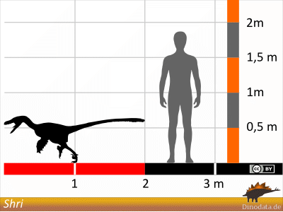 Größenvergleich / Dinodata.de. Creative Commons 4.0 International (CC BY 4.0) Größenvergleich / Dinodata.de. Creative Commons 4.0 International (CC BY 4.0)