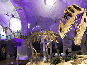 Shunosaurus (links) & Giganotosaurus / © Mikko Muinonen. Creative Commons NonCommercial-NoDerivs 2.0 Generic (CC BY-NC-ND 2.0) Shunosaurus (links) & Giganotosaurus / © Mikko Muinonen. Creative Commons NonCommercial-NoDerivs 2.0 Generic (CC BY-NC-ND 2.0)