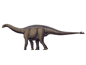 Shunosaurus / © Raul Martin Shunosaurus / © Raul Martin. Verwendet mit freundlicher Genehmigung des Autors.