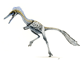 Shuvuuia / © Julius T. Csotonyi Shuvuuia / © Julius T. Csotonyi. Verwendet mit freundlicher Genehmigung des Autors.