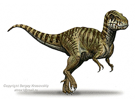 Siamotyrannus / © Sergey Krasovskiy. Verwendet mit freundlicher Genehmigung des Autors.