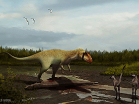 Siats / © Julio Lacerda. Verwendet mit freundlicher Genehmigung des NC Museum of Natural Sciences, Raleigh, North Carolina Siats / © Julio Lacerda. Verwendet mit freundlicher Genehmigung des NC Museum of Natural Sciences, Raleigh, North Carolina