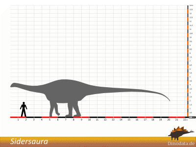 Größenvergleich / Dinodata.de. Creative Commons 4.0 International (CC BY 4.0)