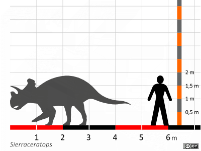 Größenvergleich / Dinodata.de. Creative Commons 4.0 International (CC BY 4.0)