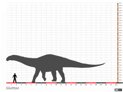 Größenvergleich / Dinodata.de. Creative Commons 4.0 International (CC BY 4.0) Größenvergleich / Dinodata.de. Creative Commons 4.0 International (CC BY 4.0)