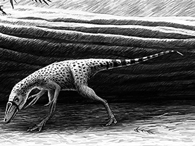 Sinocalliopteryx / © Ville Sinkkonen. Verwendet mit freundlicher Genehmigung des Autors Sinocalliopteryx / © Ville Sinkkonen. Verwendet mit freundlicher Genehmigung des Autors.