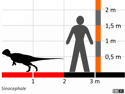 Größenvergleich / Dinodata.de. Creative Commons 4.0 International (CC BY 4.0) Größenvergleich / Dinodata.de. Creative Commons 4.0 International (CC BY 4.0)