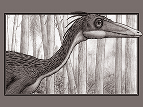 Sinornithoides / © Natalie Grewe. Verwendet mit freundlicher Genehmigung der Autorin Sinornithoides / © Natalie Grewe. Verwendet mit freundlicher Genehmigung der Autorin