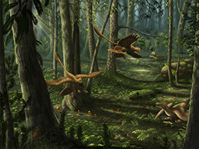 Sinornithosaurus / © Emily Willoughby. Verwendet mit freundlicher Genehmigung der Autorin. Sinornithosaurus / © Emily Willoughby. Verwendet mit freundlicher Genehmigung der Autorin.