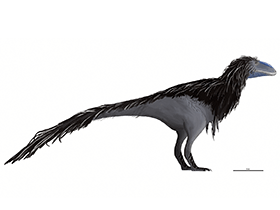 Sinotyrannus / © Matt Martyniuk Sinotyrannus / © Matt Martyniuk. Verwendet mit freundlicher Genehmigung des Autors.