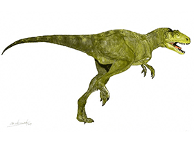 Sinraptor / © Mineo Shiraishi. Verwendet mit freundlicher Genehmigung des Autors. Sinraptor / © Mineo Shiraishi. Verwendet mit freundlicher Genehmigung des Autors.