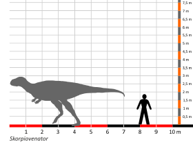 Größenvergleich / Dinodata.de. Creative Commons 4.0 International (CC BY 4.0)