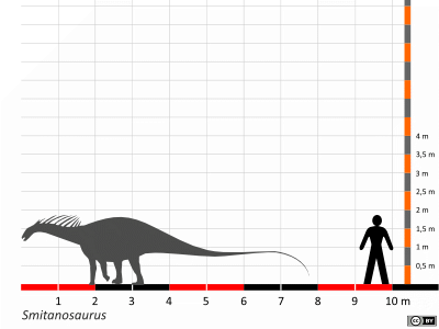 Größenvergleich / Dinodata.de. Creative Commons 4.0 International (CC BY 4.0)