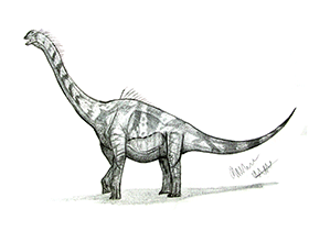 Sonorasaurus / © Robinson Kunz. Verwendet mit freundlicher Genehmigung des Autors Sonorasaurus / © Robinson Kunz. Verwendet mit freundlicher Genehmigung des Autors