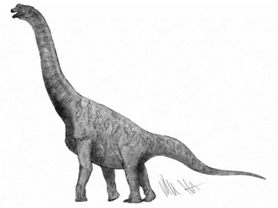 Soriatitan / © Robinson Kunz. Verwendet mit freundlicher Genehmigung des Autors