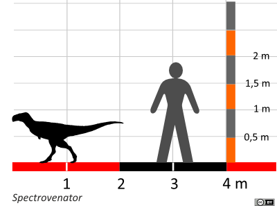 Größenvergleich / Dinodata.de. Creative Commons 4.0 International (CC BY 4.0)