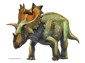 Spiclypeus / © Sergey Krasovskiy. Verwendet mit freundlicher Genehmigung des Autors