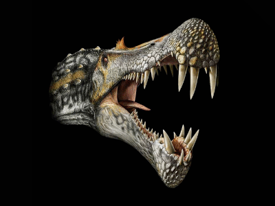 Spinosaurus / © Davide Bonadonna. Verwendet mit freundlicher Genehmigung des Autors.