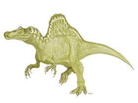 Spinosaurus / © Mineo Shiraishi Spinosaurus / © Mineo Shiraishi. Verwendet mit freundlicher Genehmigung des Autors.