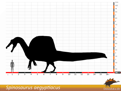 Größe des Spinosaurus aegyptiacus / © Dinodata.de