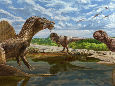 Spinosaurus & Abelisaurier / © Andrew McAfee Spinosaurus & Abelisaurier / © Andrew McAfee