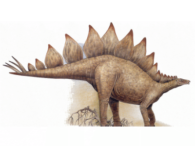 Stegosaurus / © Arturo De Miguel Stegosaurus / © Arturo De Miguel. Verwendet mit freundlicher Genehmigung des Autors.