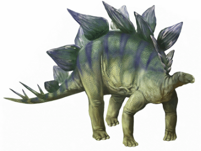 Stegosaurus / © Karen Carr Stegosaurus / © Karen Carr. Verwendet mit freundlicher Genehmigung des Autorin.