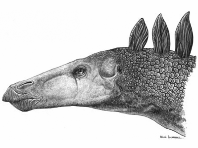Stegosaurus / © Bruno Hernandez. Verwendet mit freundlicher Genehmigung des Autors.