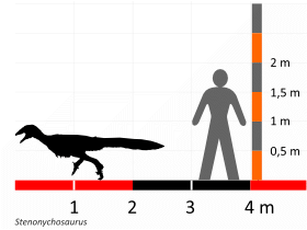 Größenvergleich / Dinodata.de. Creative Commons 4.0 International (CC BY 4.0)