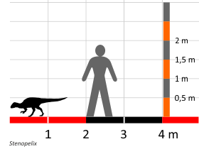 Größenvergleich © Dinodata.de. Creative Commons 4.0 International (CC BY 4.0) Größenvergleich / Dinodata.de. Creative Commons 4.0 International (CC BY 4.0)