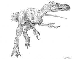 Stokeosaurus / © Todd Marshall. Verwendet mit freundlicher Genehmigung des Autors