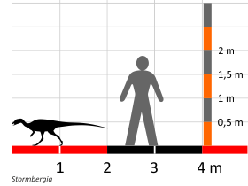 Größenvergleich / Dinodata.de. Creative Commons 4.0 International (CC BY 4.0)