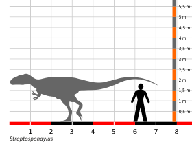 Größenvergleich © Dinodata.de. Creative Commons 4.0 International (CC BY 4.0) Größenvergleich / Dinodata.de. Creative Commons 4.0 International (CC BY 4.0)