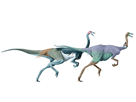 Struthiomimus / © Jan-Åke Winqvist. Verwendet mit freundlicher Genehmigung des Autors Struthiomimus / © Jan-Åke Winqvist. Verwendet mit freundlicher Genehmigung des Autors
