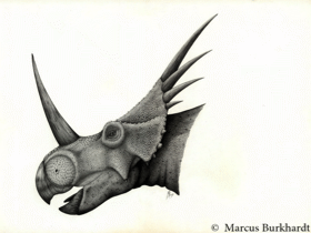 © Marcus Burkhardt. Verwendet mit freundlicher Genehmigung des Autors.