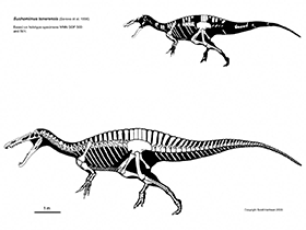 Suchomimus / © Scott Hartman. Verwendet mit freundlicher Genehmigung des Autors Suchomimus / © Scott Hartman. Verwendet mit freundlicher Genehmigung des Autors