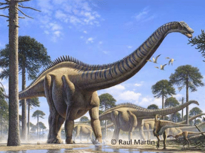 Supersaurus / © Raul Martin Supersaurus / © Raul Martin. Verwendet mit freundlicher Genehmigung des Autors.