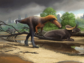 Suskityrannus / © Andrey Atuchin. Verwendet mit freundlicher Genehmigung des Autors