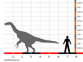 Größenvergleich / Dinodata.de. Creative Commons 4.0 International (CC BY 4.0)