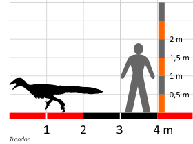Größenvergleich / © Dinodata.de Größenvergleich / © Dinodata.de