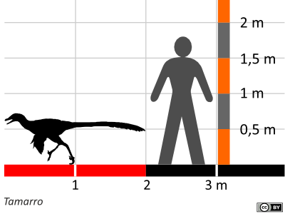 Größenvergleich / Dinodata.de. Creative Commons 4.0 International (CC BY 4.0) Größenvergleich / Dinodata.de. Creative Commons 4.0 International (CC BY 4.0)