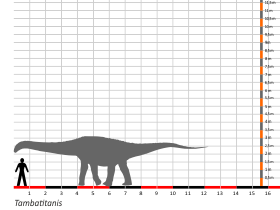 Größenvergleich © Dinodata.de. Creative Commons 4.0 International (CC BY 4.0) Größenvergleich / Dinodata.de. Creative Commons 4.0 International (CC BY 4.0)