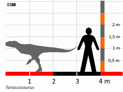 Größenvergleich / Dinodata.de. Creative Commons 4.0 International (CC BY 4.0)