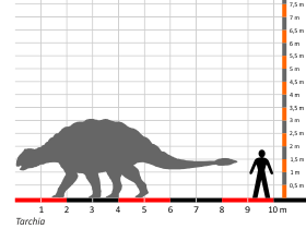 Größenvergleich / Dinodata.de. Creative Commons 4.0 International (CC BY 4.0)