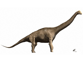 Tastavinsaurus / © N. Tamura. Verwendet mit freundlicher Genehmigung des Autors Tastavinsaurus / © N. Tamura. Verwendet mit freundlicher Genehmigung des Autors