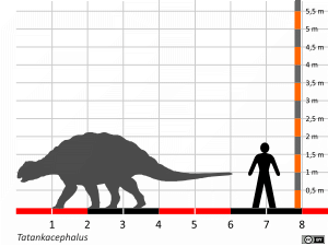 Größenvergleich / Dinodata.de. Creative Commons 4.0 International (CC BY 4.0)